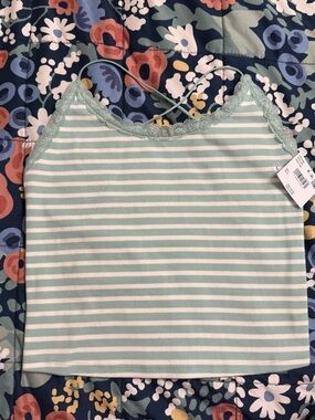 American Eagle Outfitters Mint and White Striped Lace-Trim Cami